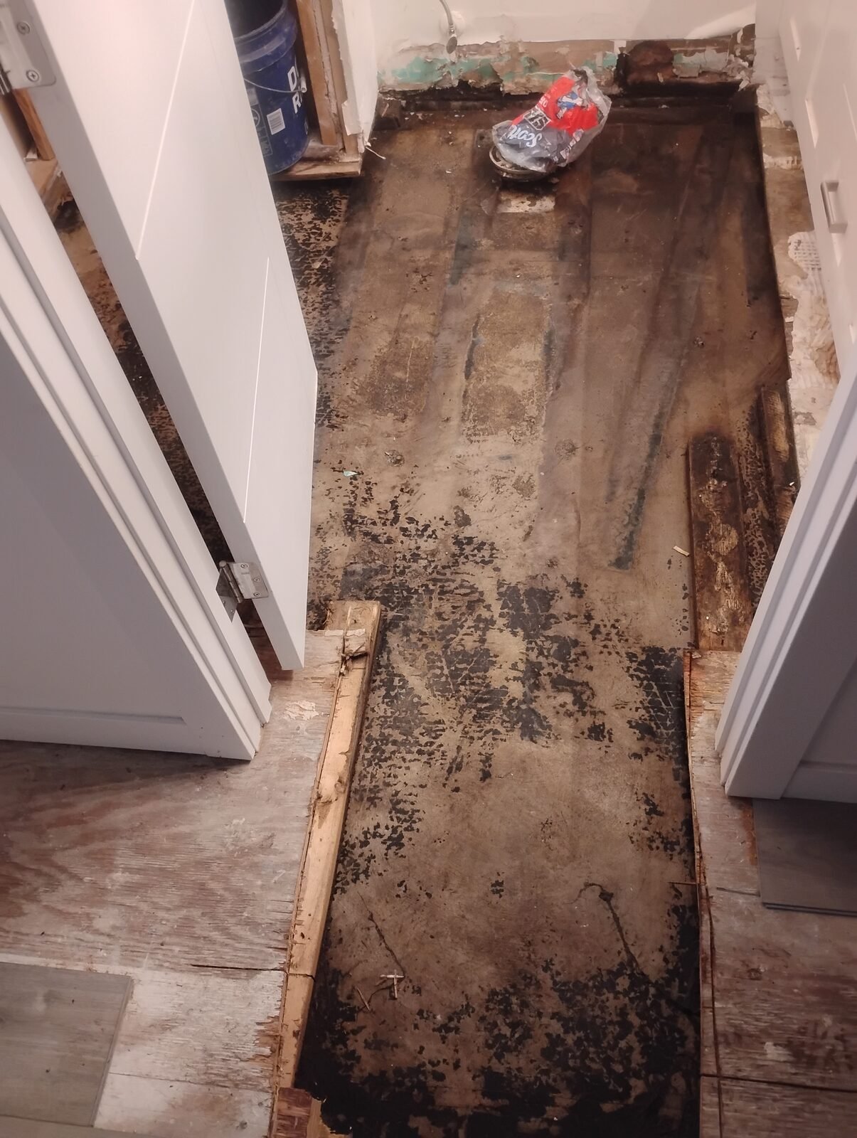 Bathroom tear-out, after