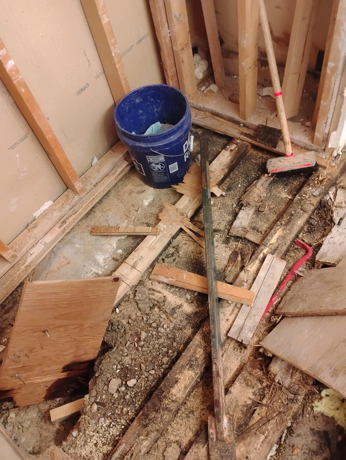 Bathroom tear-out, before