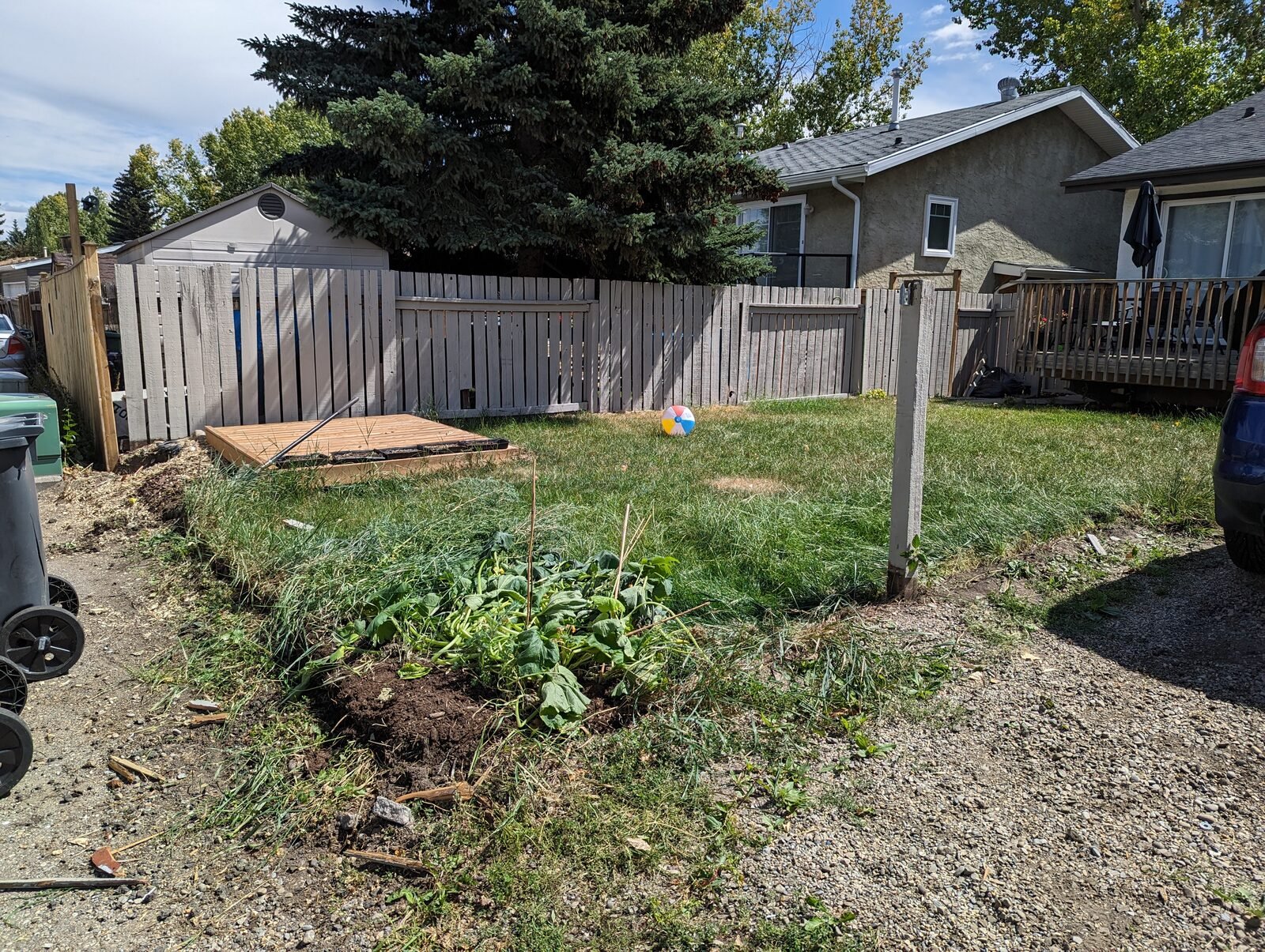 Fence removal, after