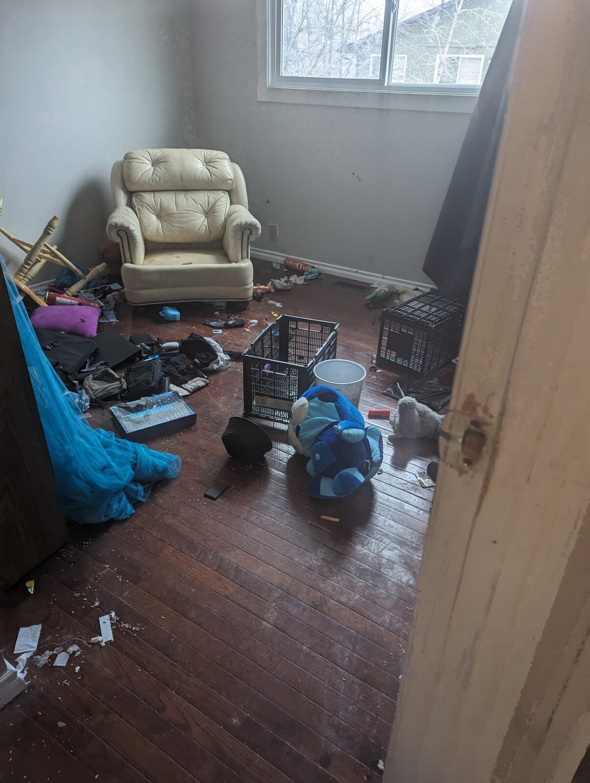 Hoarding cleanout — before