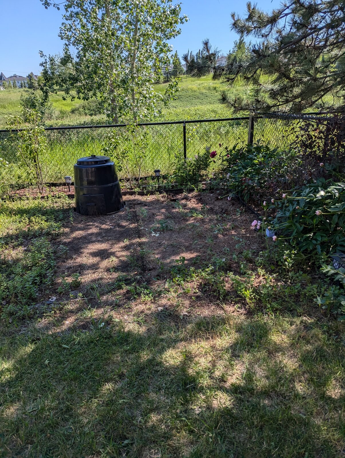 Yard clear-out — after