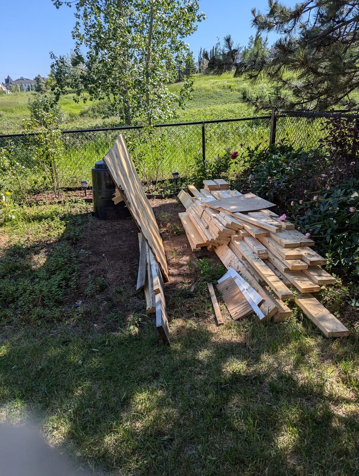 Yard clear-out — before